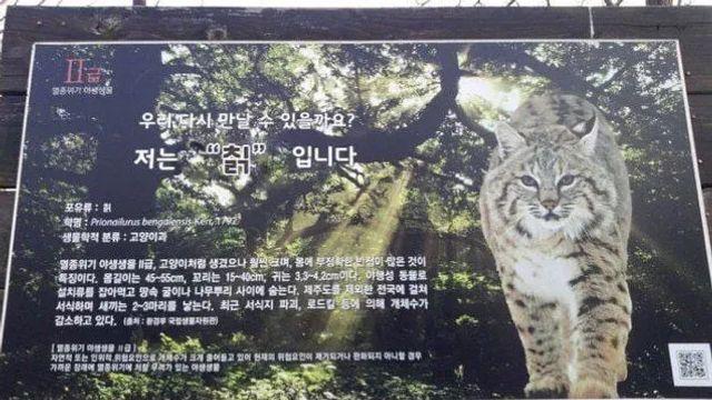 반전의 반전이 있었던, 레전드 짤,,