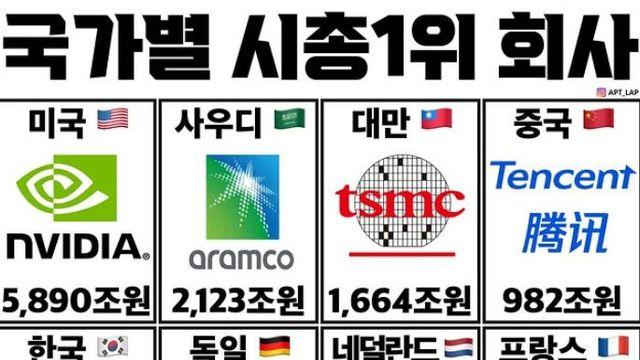 국가별 시총 1위 기업