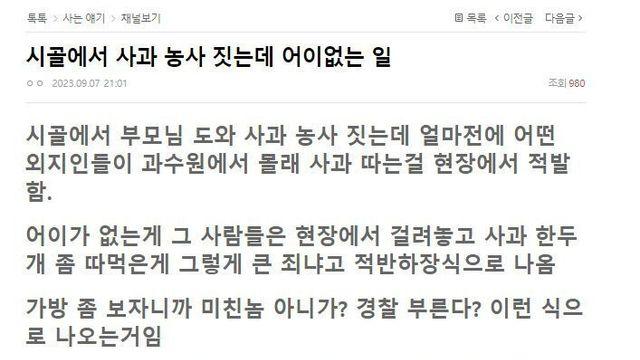 소름 돋는 시골 사과 도둑썰