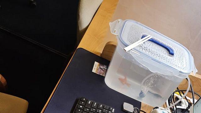 스터디카페 별의별 놈이 다 있구나..