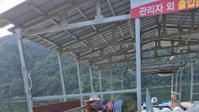 음성군, 토종붕어 치어 78만 마리 방류… 내수면 생태계 보전