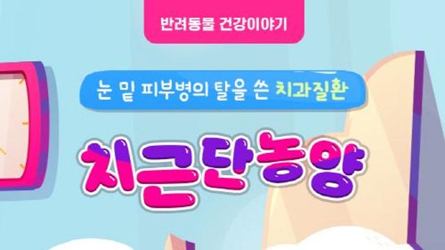 [반려동물 건강이야기] 눈 밑 피부병의 탈을 쓴 치과질환-치근단농양