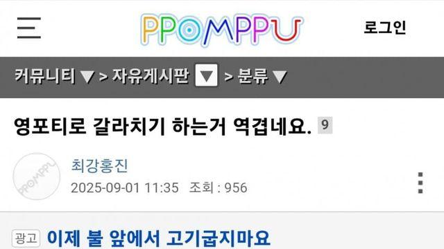 영포티로 갈라치기 하는거 역겹네요