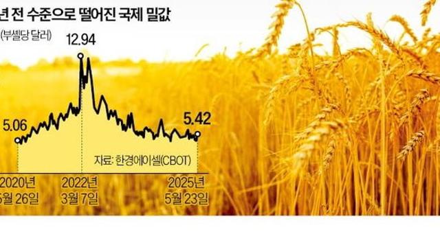 밀가루 5년 내 최저가 회복