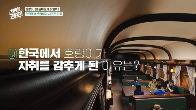 한반도에 호랑이들이 멸종한 이유.jpg