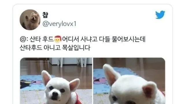 후드 예쁘다고 어디서 샀는지 많이 물어보시는데