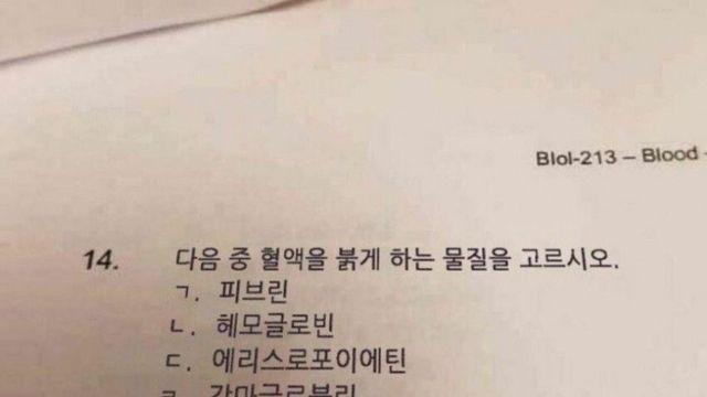 혈액을 붉게 만드는 물질.jpg