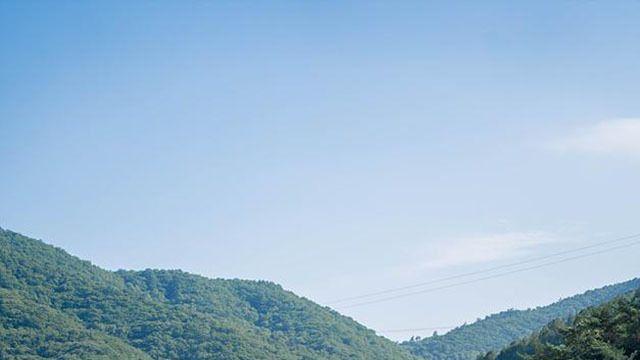 보성 가볼만한 곳 ③제암산자연휴양림-봇재-초루-천봉산 대원사