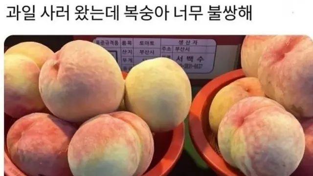 과일 사러 왔는데 복숭아 너무 불쌍해.,,