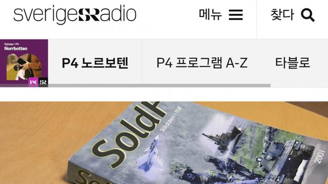어질어질 미쳐버린 스웨덴 차별금지법 근황