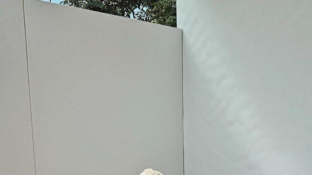 김희정, 휴양지 감성 담은 깅엄 체크 썸머룩