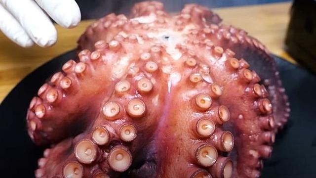 9월 보양식으로 으뜸인 문어, 이렇게 삶으면 씹을 때 이가 안 아파요