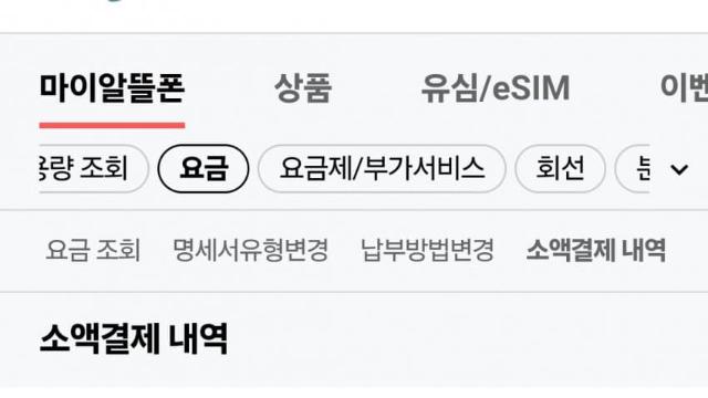 KT 쉑쉑 소액결제를 막아보자