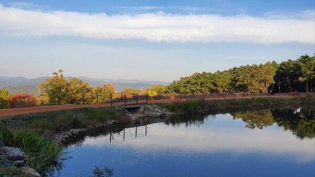 칠곡 가볼 만한 곳, 세월의 흔적과 현대의 멋이 공존하는 길