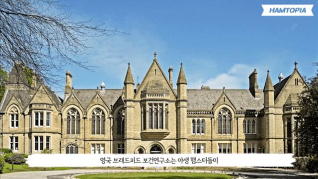 깜짝깜짝 주당 원탑 동물