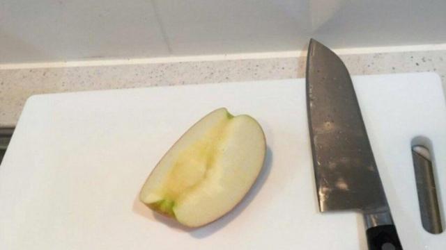 사과로 토끼를 조각해 봤어.
