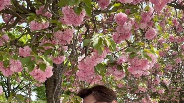 송승현, 연예계 은퇴 후 근황…뉴욕서 국밥집 사장 도전