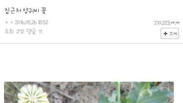 여자한테 꽃 준 썰