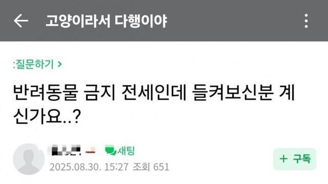ㄱㄷ) 집주인 몰래 키우다 걸렸는데 어떡하죠?