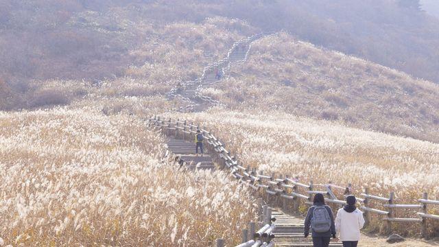 울주 관광지 등억온천단지 숙박업소·식당, 마을호텔로 바뀐다
