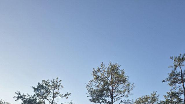 송산3동, 주민과 함께하는 공원입양 환경정화