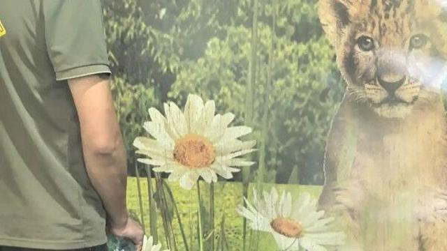 범 무서운 줄 모르는 中 동물원 직원…물 뿌리고 때리고