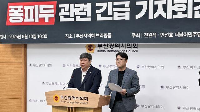 퐁피두 부산 분관, 시의회 심사 통과에도 반발 여전