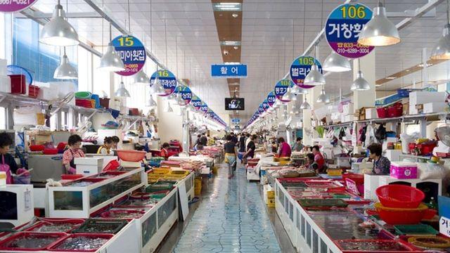 '지금 마음껏 먹어야 합니다..' 현재 가격 '40% 이상' 떨어져 매우 저렴하게 먹을 수 있는 '가을 제철' 수산물