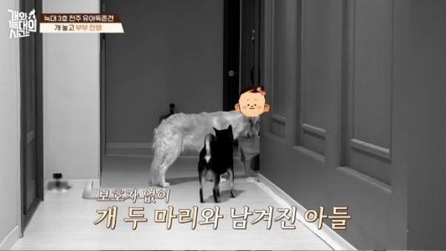 16개월 아기, 대형견에 물렸는데도 개가 우선인 母…심지어 방치까지 '충격' (개늑시)[종합]