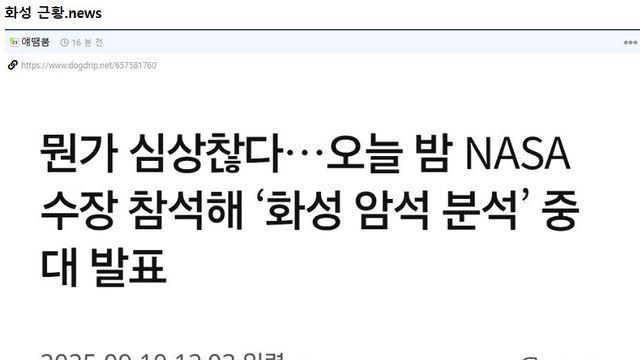 화성에서 3m 크기의 잠자리 화석 2개 발견 