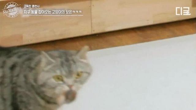 편견없이 동물을 사랑하는 사람