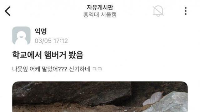 학교에서 발견된 햄버거.jpg