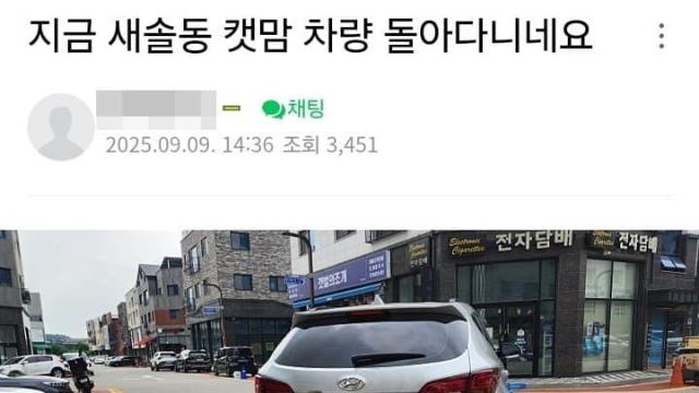 [스압] 차 타고 사료 투기하는 캣맘의 적반하장