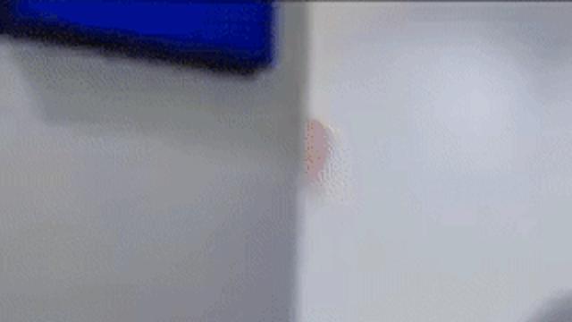 코스프레 행사장의 흔한 모습.