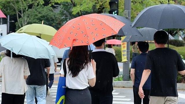 [날씨] 오늘 곳곳에 강하고 많은 비…강원 동해안도 20㎜ 이상 예보