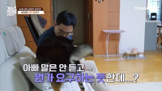 강형욱도 당황한... 레전드 의뢰