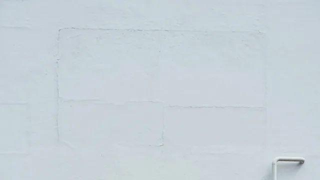 오늘의 촌동네 사진들 18장