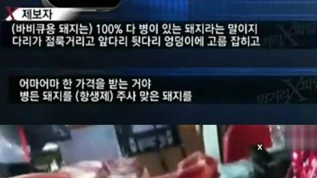 통돼지 바베큐의 비밀