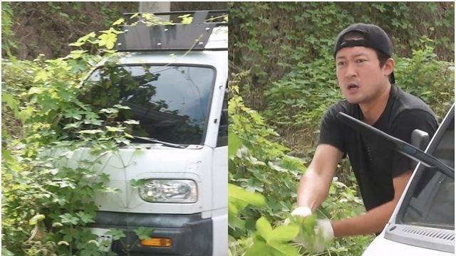 MBC '나혼산' 김대호, 넝쿨에 점령 당한 '다마르기니' 구출 작전! 차 안까지 침투한 넝쿨과 사투!