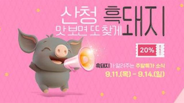 산청군 '산엔청쇼핑몰' 주말 특가 이벤트 실시