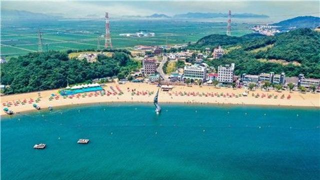 반려견과 해수욕…당진 왜목마을 12일부터 펫비치 운영