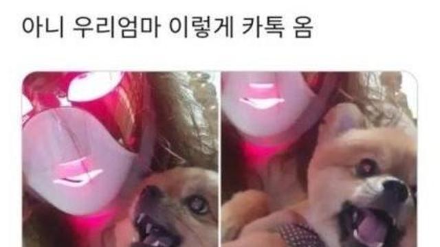 아이언 맘의 카톡.