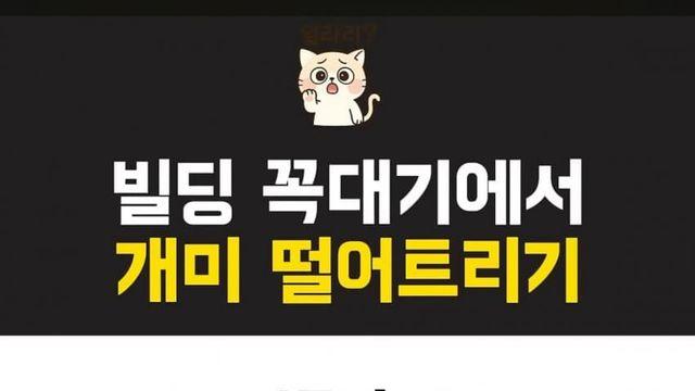 고층빌딩 꼭대기에서 개미를 떨어뜨리면 어떻게 될까