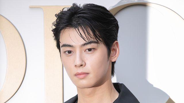 [TV톡] 차은우, 스스로 증명한 가치…팬들이 선정한 최고의 '남자배우'
