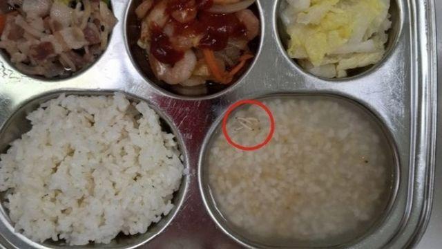 “애들 먹는 걸로 장난”…어린이집 급식에 유충 발견돼 학부모들 '발칵'
