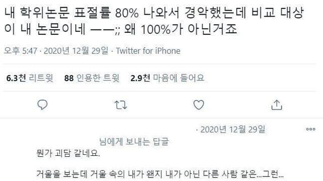 학위논문 표절률 80%