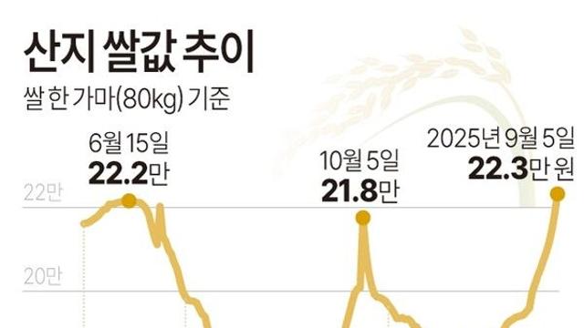 산지 쌀값 추이