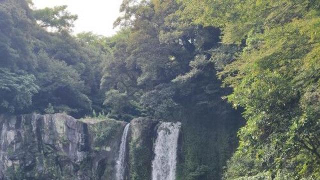 Jeju and Busan: 4 Top Spots Arab Travelers Love for Sea, Nature and Healing