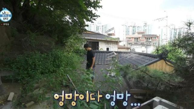‘나혼산’ 김대호, 집이 두 채인데…코쿤 “주로 지붕 위에 있는 듯”