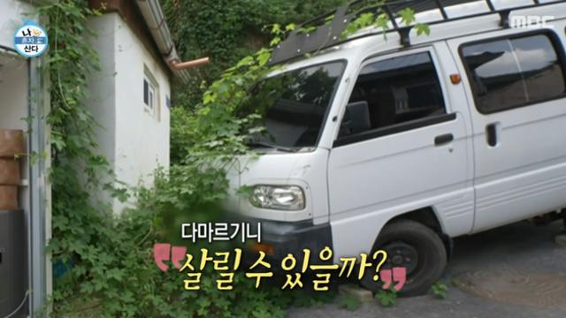 [TVis] 넝쿨이 뒤덮은 김대호 집…다마르기니까지 먹혔다 ‘충격’(‘나혼산’)